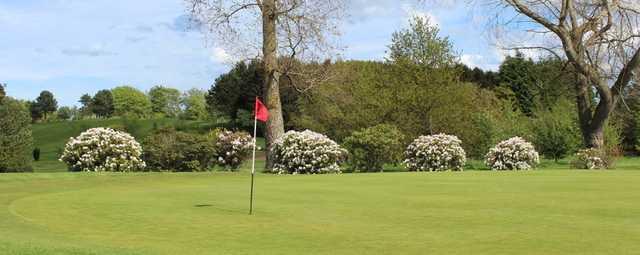 Morpeth Golf Club - photo 6