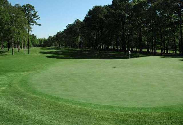 Shoal Creek - photo 3