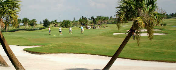 The Villages Executive Golf Trail - photo 4