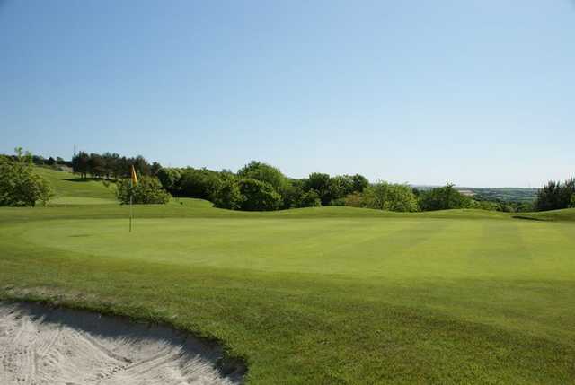 Bowood Park Hotel & Golf Club - photo 5
