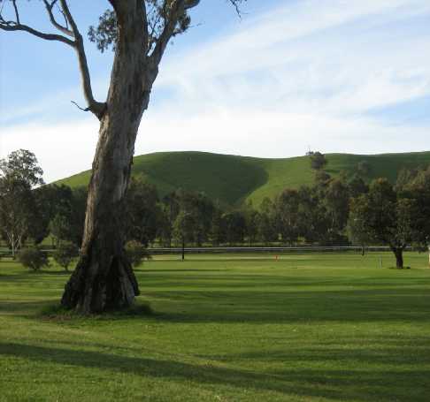 Alexandra Golf Club - photo 3