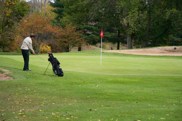 Willow Golf Course - Metropark Golf - photo 2