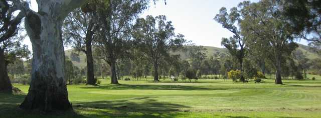 Alexandra Golf Club - photo 7