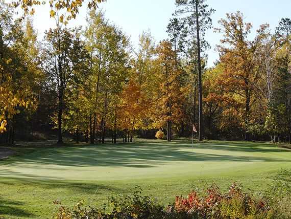 Hayward National - photo 6
