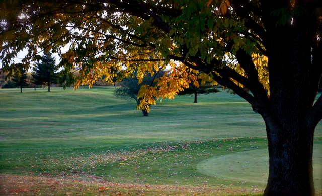 Marion Elks Country Club - photo 3