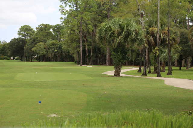 Binks Forest - photo 2