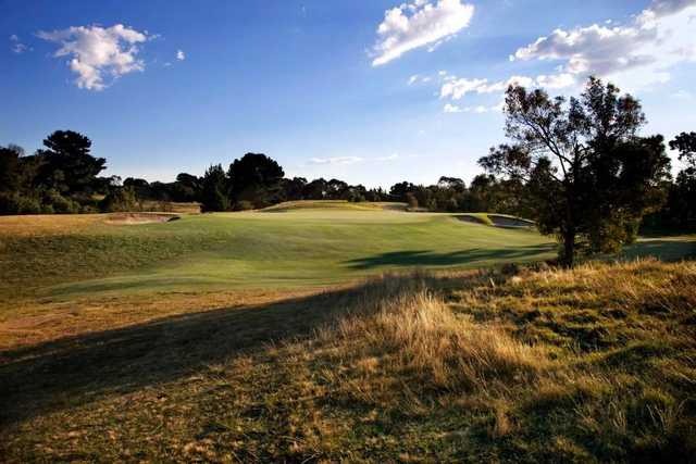 Curlewis Golf Club - photo 4