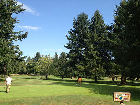 Golf City Par-3
