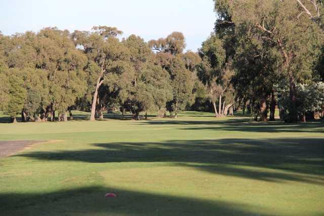 Churchill Waverley Golf Club - Endeavour Hills Course - photo 3