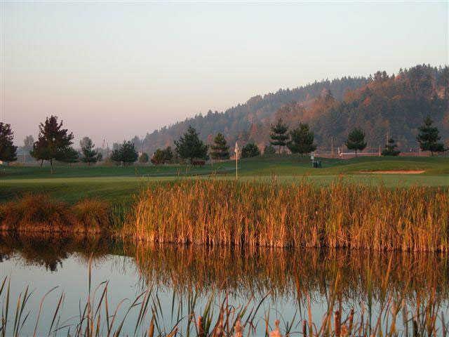 Sumner Meadows Golf Links - photo 3