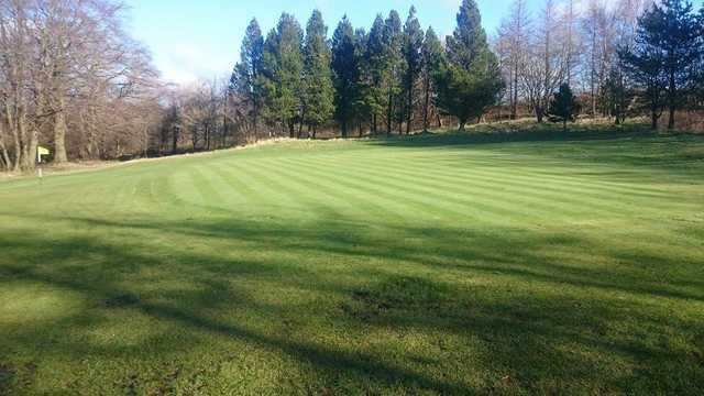 Cochrane Castle Golf Club - photo 5