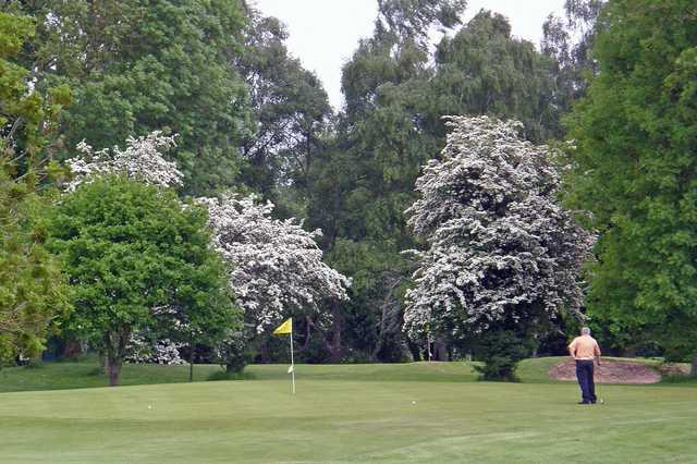 Padeswood & Buckley Golf Club - photo 2