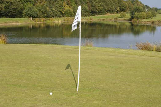 Alexander Park Golf Course - photo 5