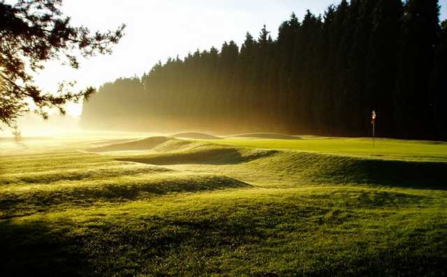 Hollywood Golf Club - photo 4