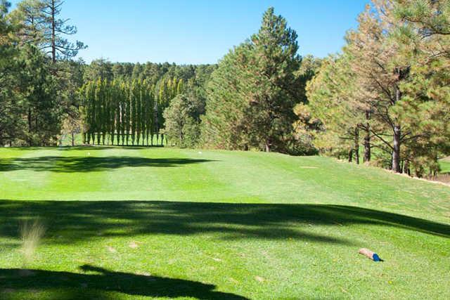 Aspen Valley Golf Club - photo 2