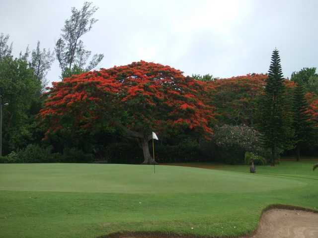 Ocean View Golf Club (Bermuda) - photo 3