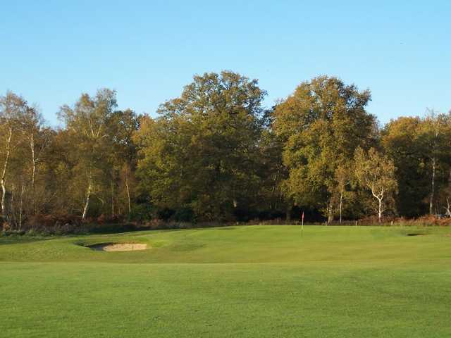 Royal Ascot Golf Club - photo 7