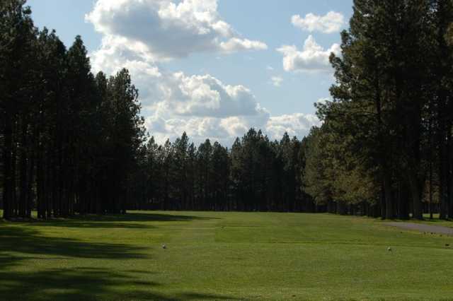 Sun Dance Golf Course - photo 6