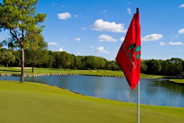 Pine Forest Country Club - photo 5