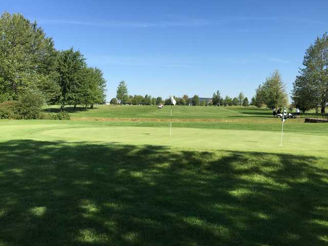 Crumlin Creek 12 Hole Golf Club - photo 3