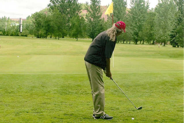 Hibbing Municipal Golf Course - photo 1