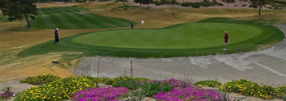 Highland Falls Golf Club at Golf Summerlin - photo 5