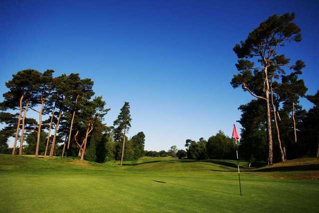 Hever Castle Boleyn Course - photo 3