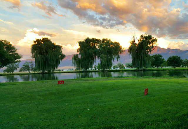 Cove View Golf Course - photo 3