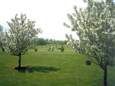 Sand Creek Golf Course & Driving Range - photo 1