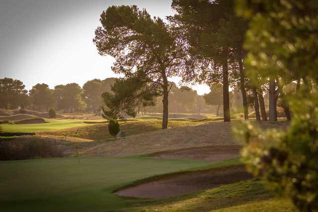 Glenelg Golf Club - photo 3
