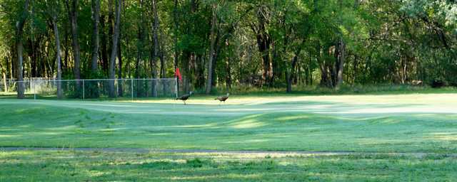 Borger Country Club - photo 2