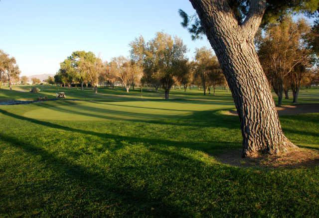 Apple Valley - photo 8