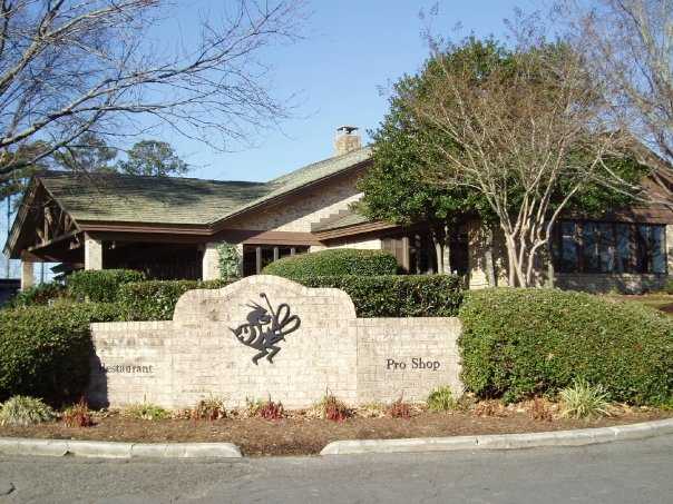 Honey Bee Golf Club - photo 3