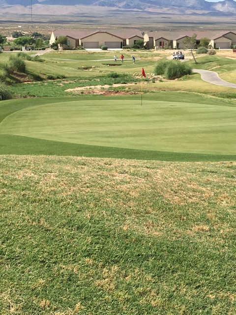 Coyote Willows Golf Club - photo 4