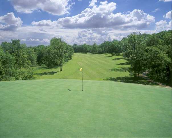Stonebridge Meadows Golf Club - photo 3