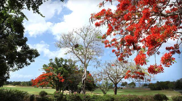 Casa De Campo - The Links - photo 6