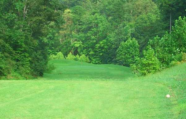 Oaks - photo 2