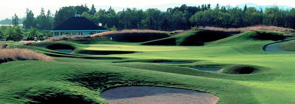 Ghost Creek at Pumpkin Ridge Golf Club - photo 6