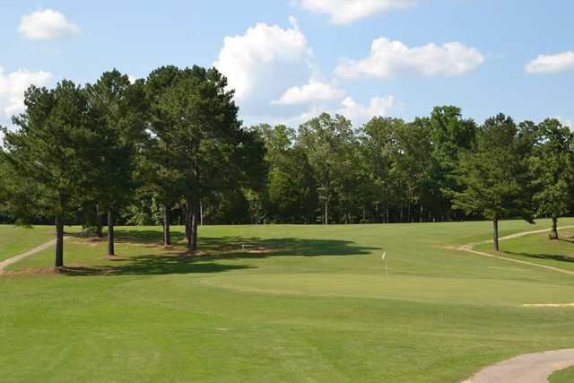 Cahawba Falls Country Club - photo 2