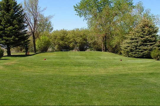 Bow Island Jubilee Golf Club - photo 3
