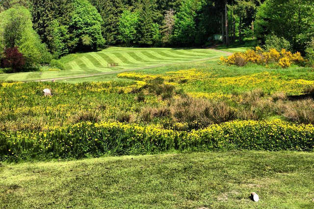 Gig Harbor Golf Club - photo 3