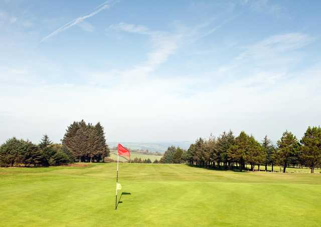 Carmarthen Golf Club - photo 2