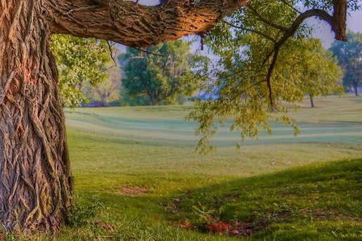 Nowata Country Club - photo 3