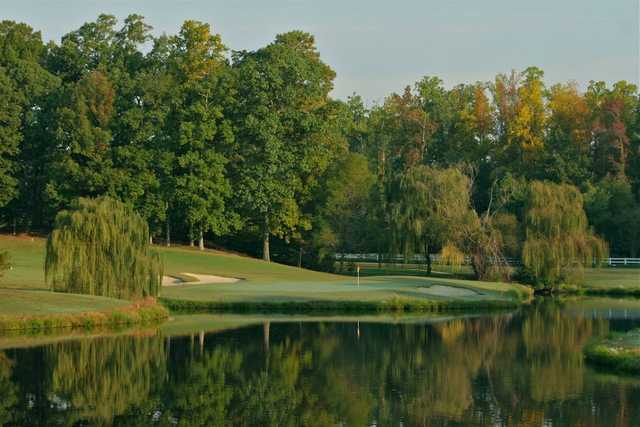 Ford's Colony Country Club - Blue Heron - photo 3