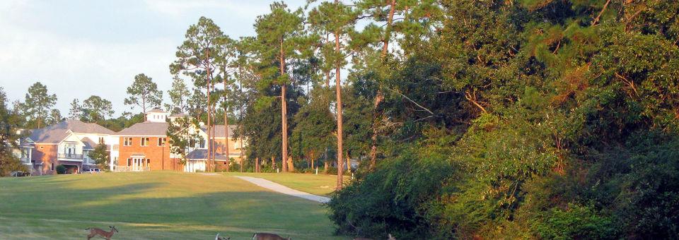 Diamondhead Country Club - Cardinal Course - photo 4