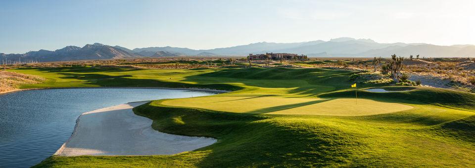 Paiute Golf Resort - Snow - photo 8