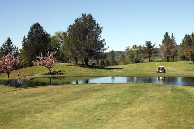 Roseburg Country Club - photo 2