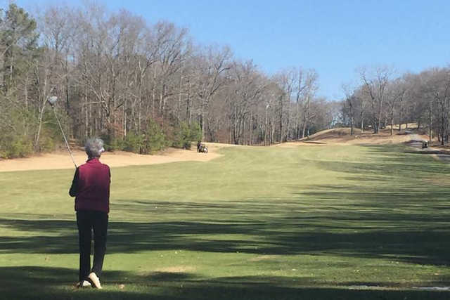 Paris Landing State Park Golf Course - photo 3