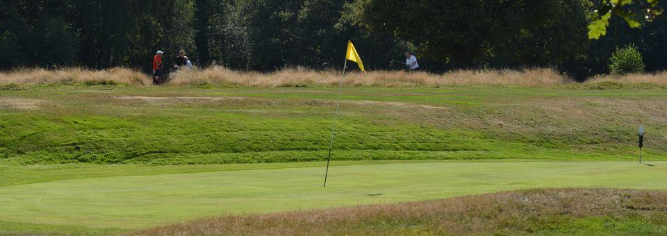 Thames Ditton & Esher Golf Club - photo 8