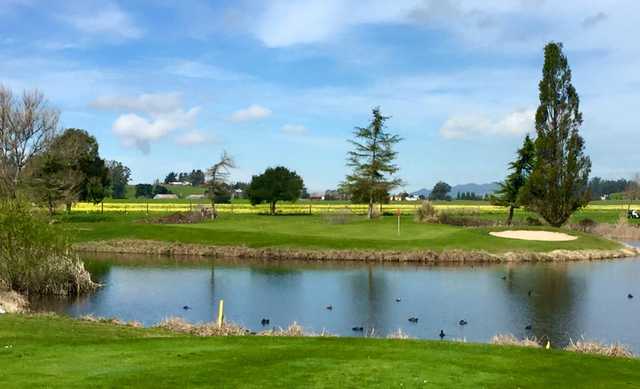 Rooster Run Golf Club - photo 5